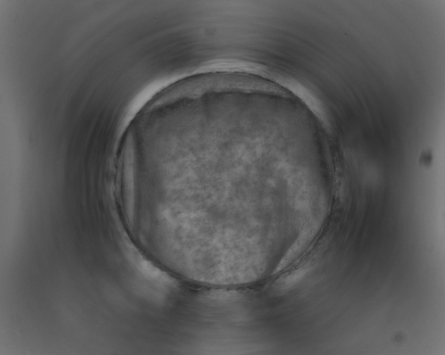 X0000093101094200710101533