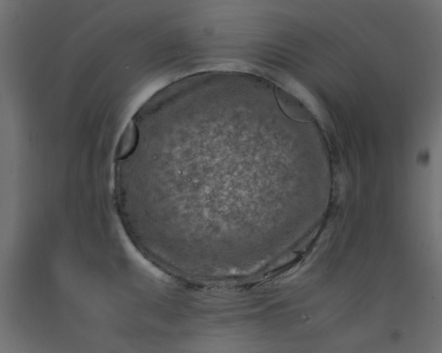 X0000093101095200710101533