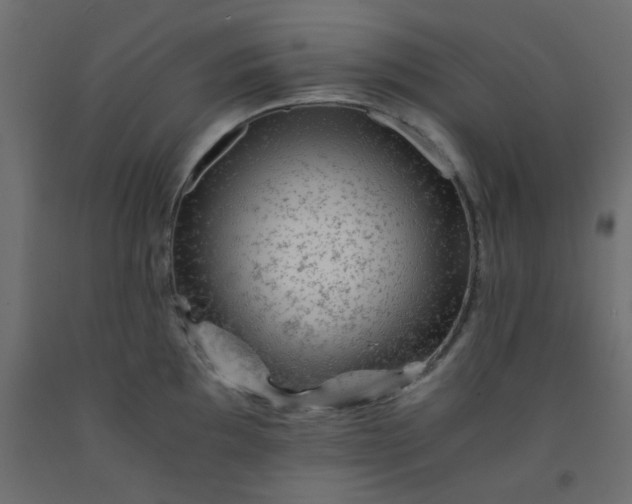 X0000093101097200710101533