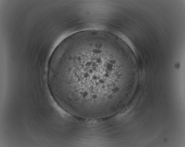 X0000093101099200710101533