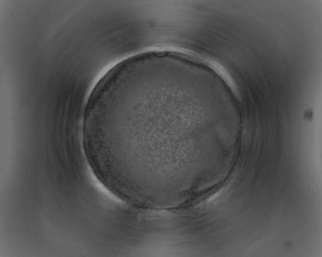 X0000093101100200710101533