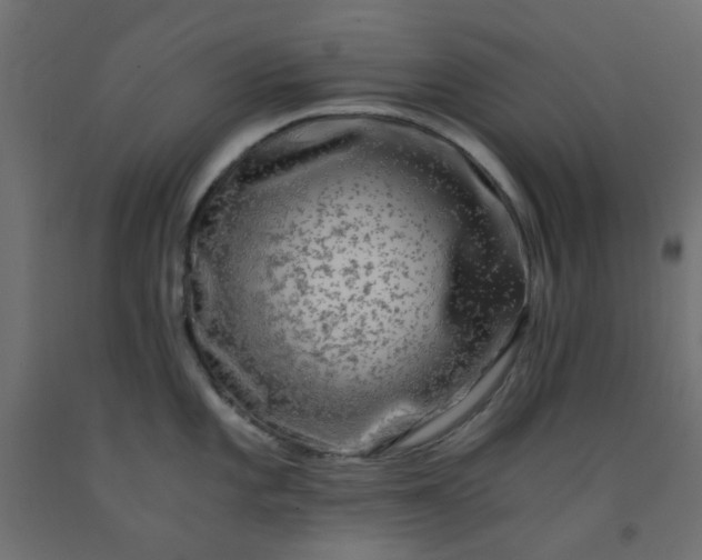 X0000093101101200710101533