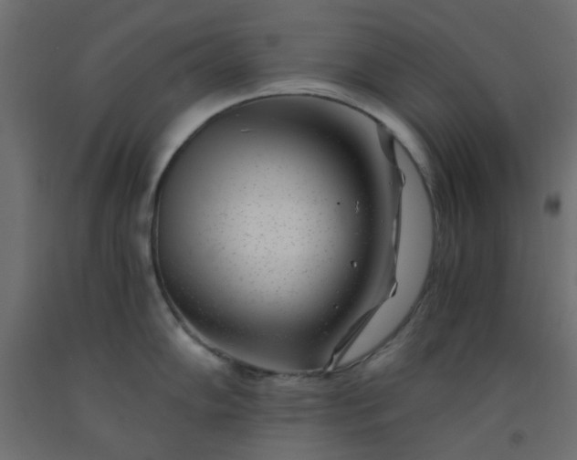 X0000093101102200710101533
