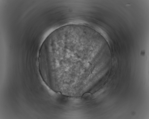 X0000093101103200710101533