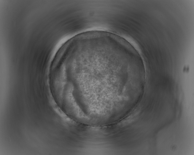 X0000093101104200710101533