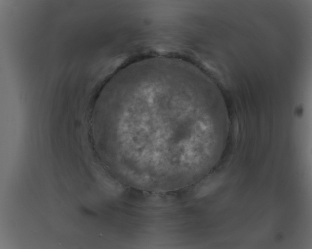 X0000093101105200710101532