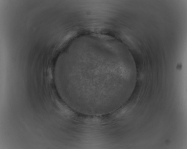 X0000093101106200710101532