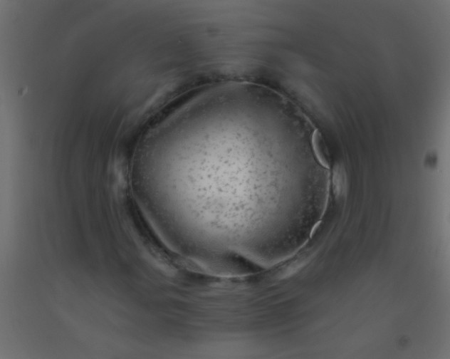 X0000093101107200710101532