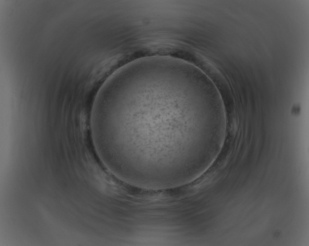 X0000093101108200710101532