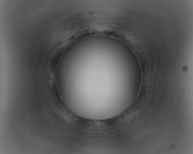 X0000093101109200710101532