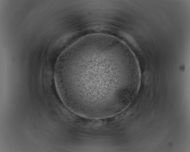 X0000093101111200710101532