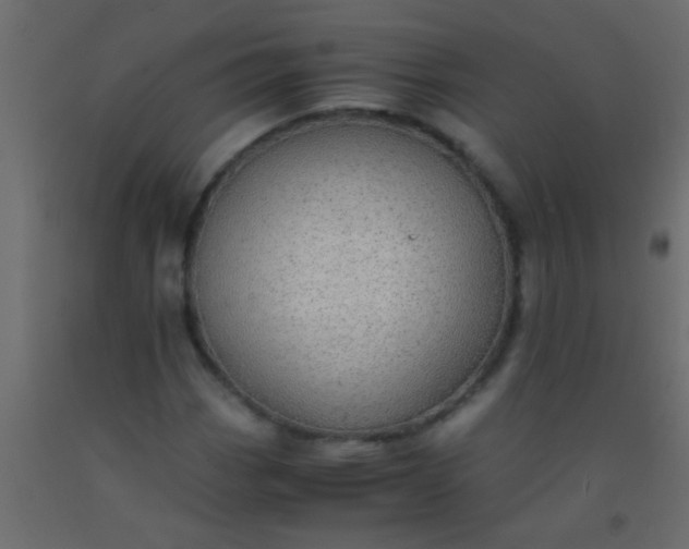 X0000093101113200710101532