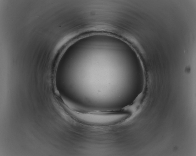 X0000093101114200710101532