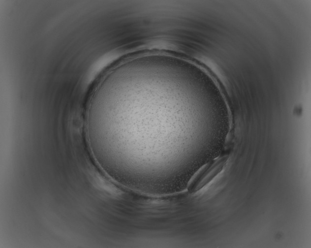 X0000093101115200710101532
