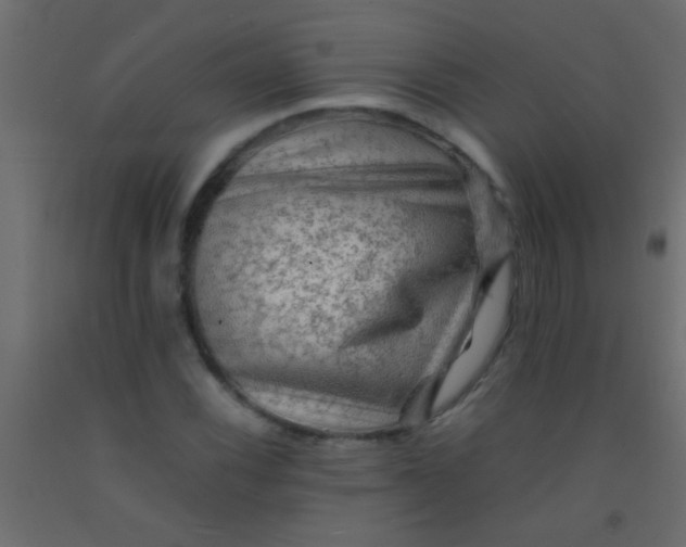 X0000093101116200710101532