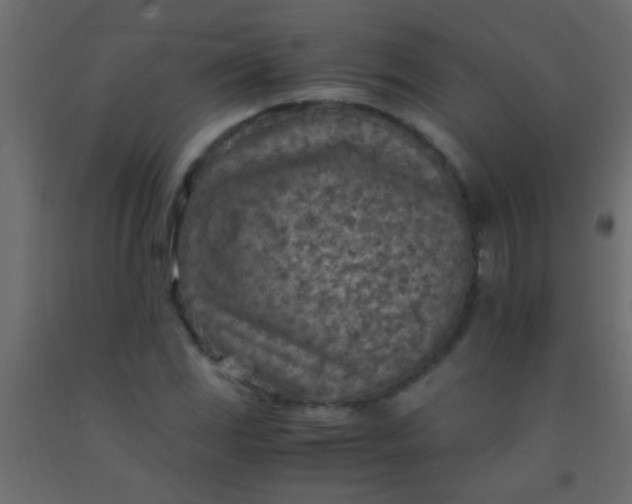 X0000093101117200710101532