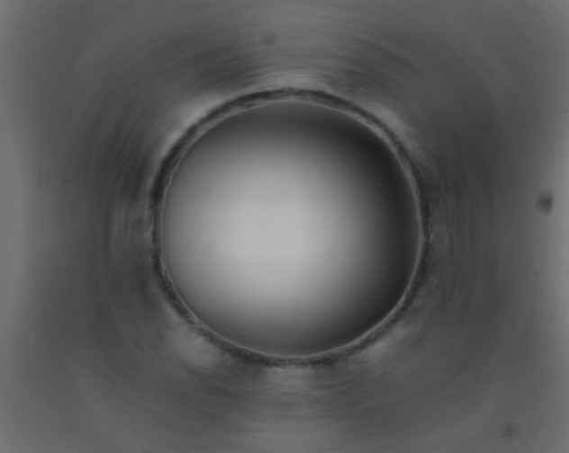 X0000093101118200710101532