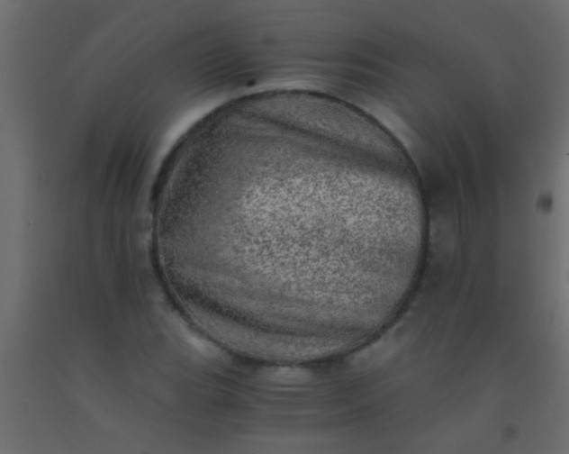 X0000093101119200710101532