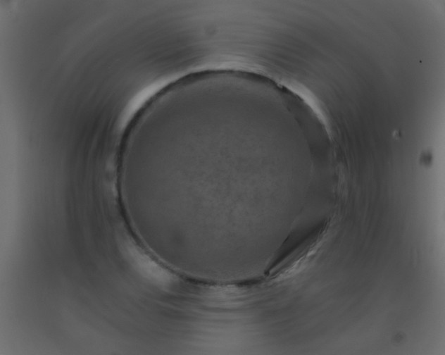 X0000093101120200710101532