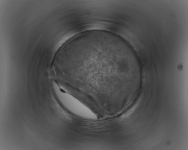 X0000093101121200710101532