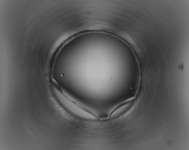 X0000093101122200710101532