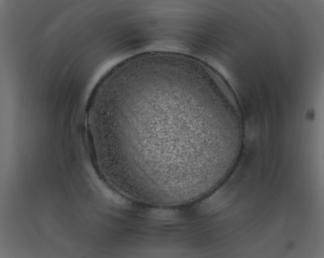 X0000093101123200710101532