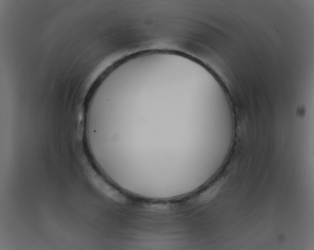 X0000093101126200710101532