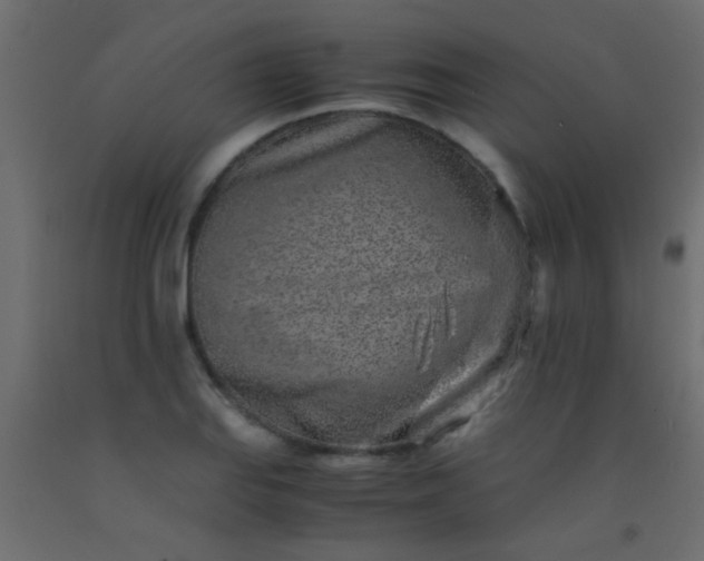 X0000093101127200710101532