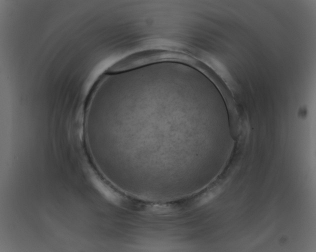 X0000093101128200710101532