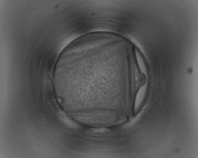 X0000093101129200710101532