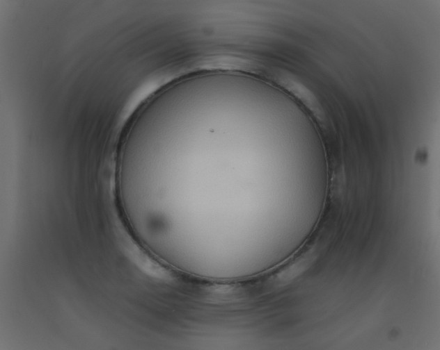 X0000093101130200710101532