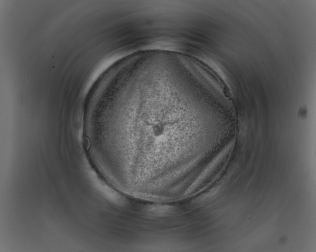 X0000093101131200710101532