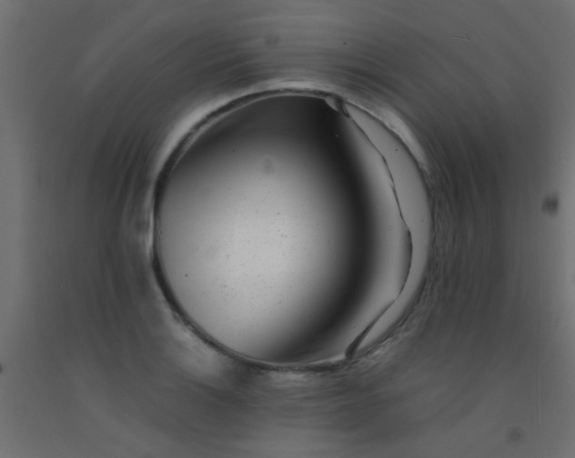 X0000093101132200710101532
