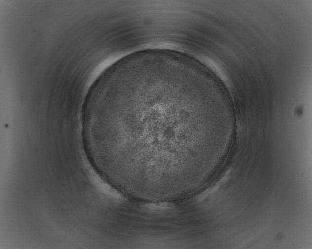X0000093101133200710101532