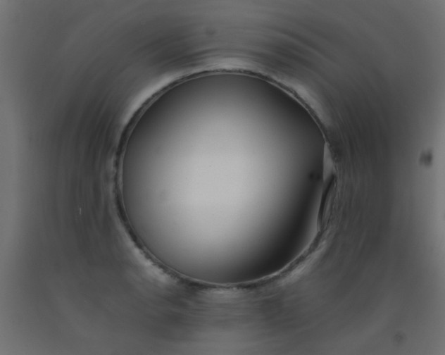 X0000093101134200710101532