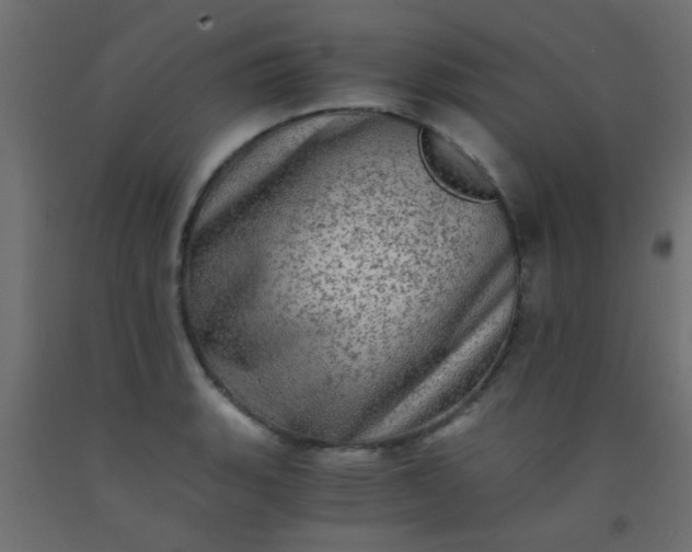 X0000093101135200710101532