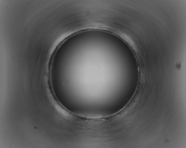 X0000093101136200710101532