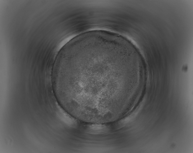 X0000093101137200710101532