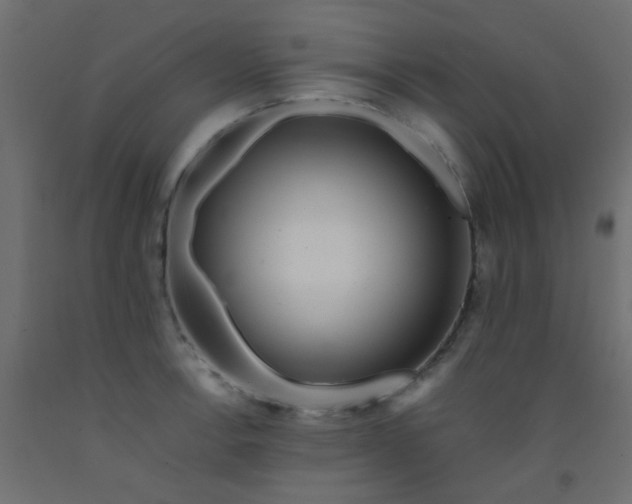 X0000093101138200710101532