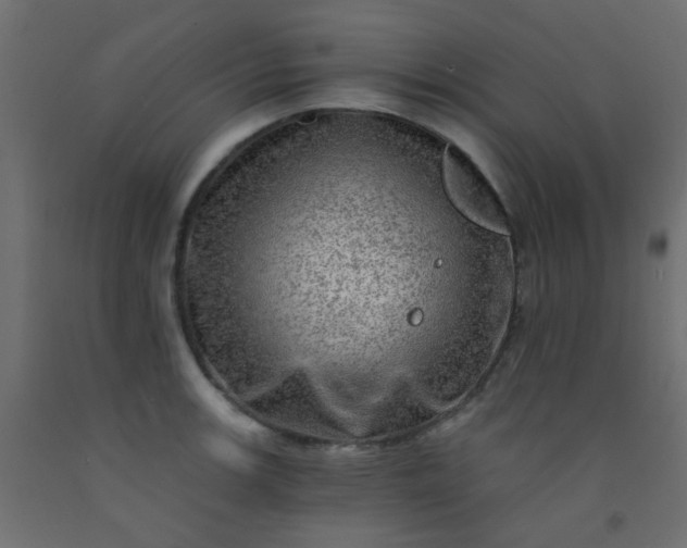 X0000093101139200710101532