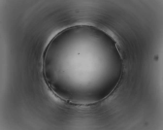 X0000093101140200710101532
