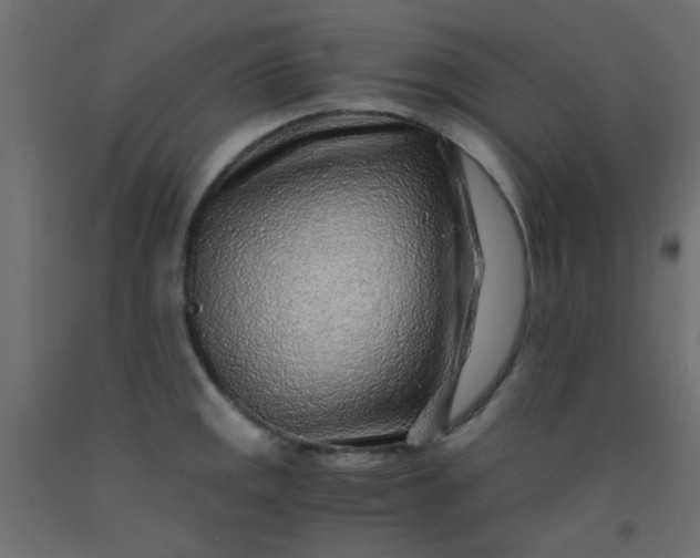 X0000093101141200710101532