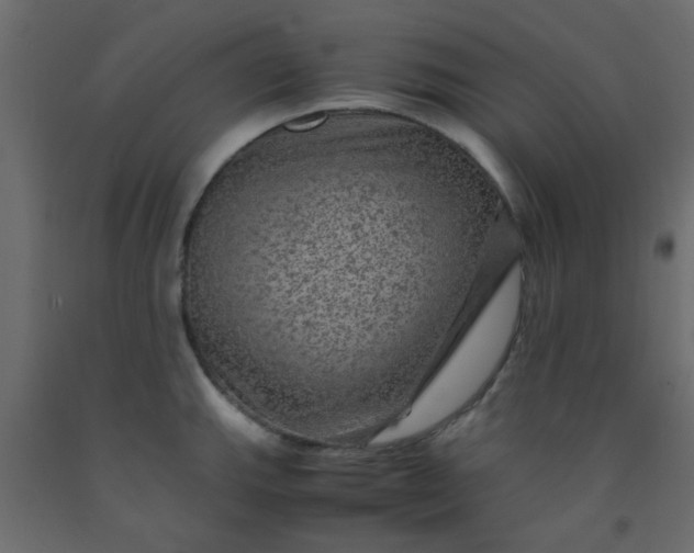 X0000093101143200710101532