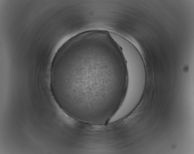 X0000093101144200710101532