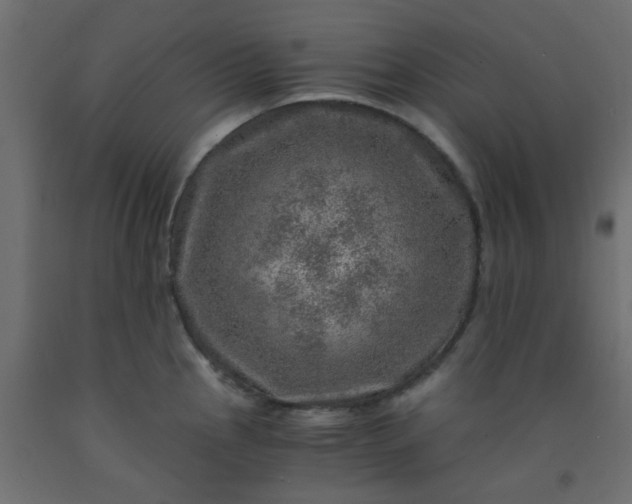 X0000093101145200710101532