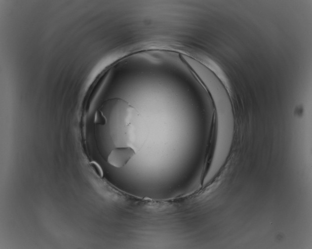 X0000093101146200710101532