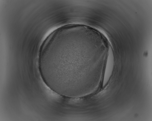 X0000093101147200710101532