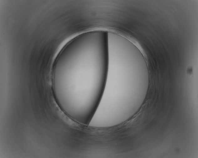 X0000093101148200710101532