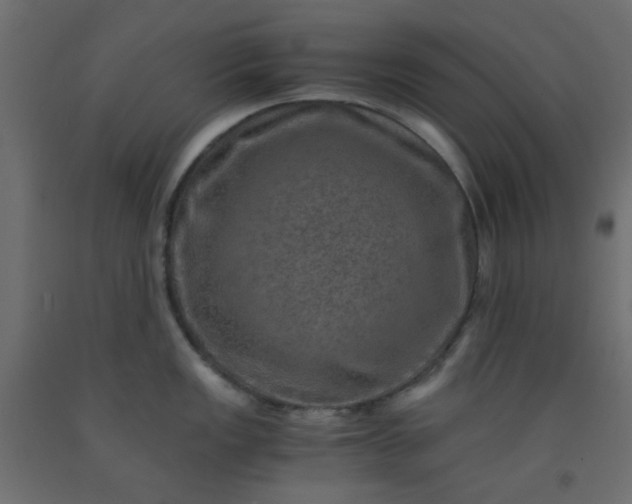 X0000093101149200710101532