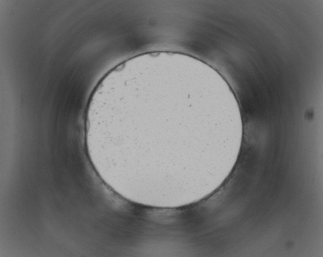 X0000093101150200710101533
